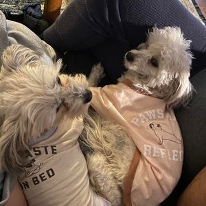 Meet your Posher, Christy